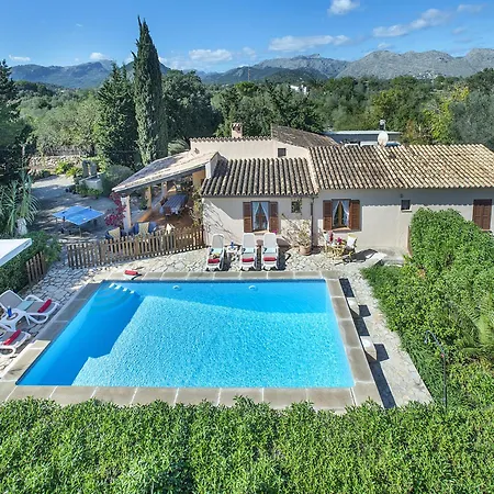 Owl Teo - Family And Friends * Pollença