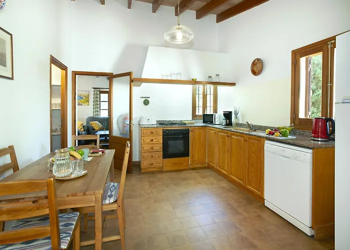 Owl Teo - Family And Friends Villa