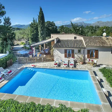 Owl Teo - Family&friends