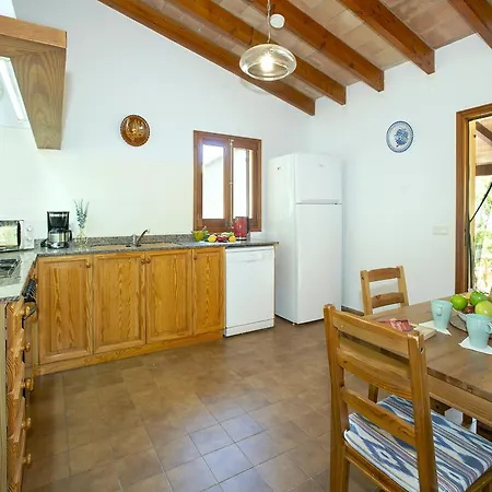 Owl Teo - Family&friends * Pollença