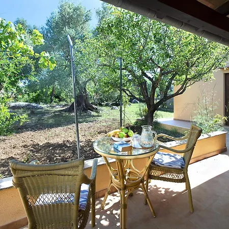 Owl Teo - Family&friends Villa *