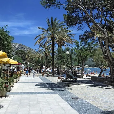 Owl Teo - Family&friends Pollença