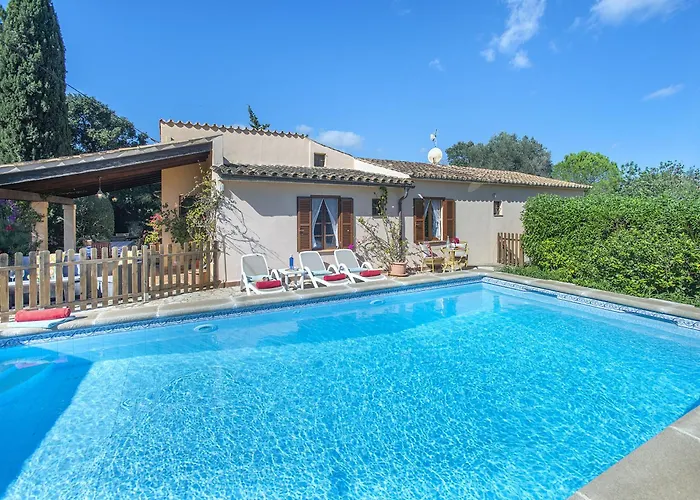 Owl Teo - Family&friends * Pollença