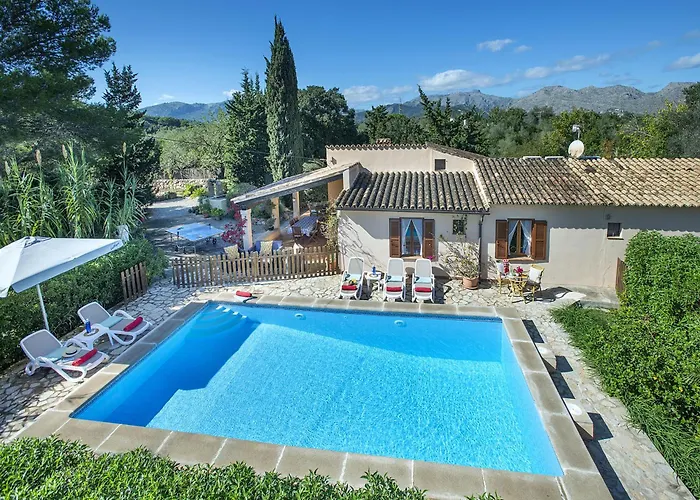 Owl Teo - Family&friends