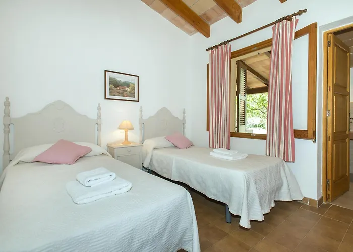 Owl Teo - Family&friends Pollença