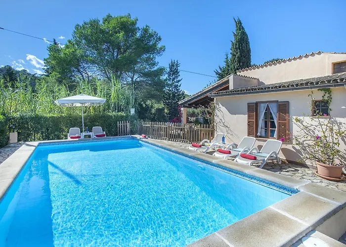 Owl Teo - Family&friends *