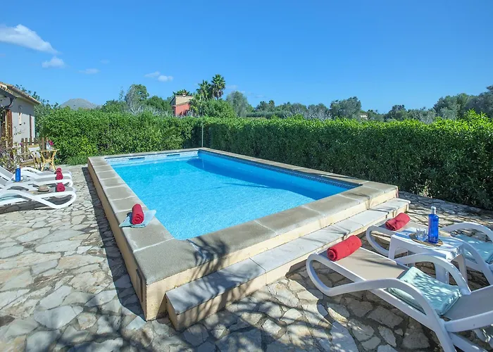 Owl Teo - Family And Friends *