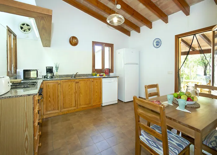 Owl Teo - Family&friends * Pollença