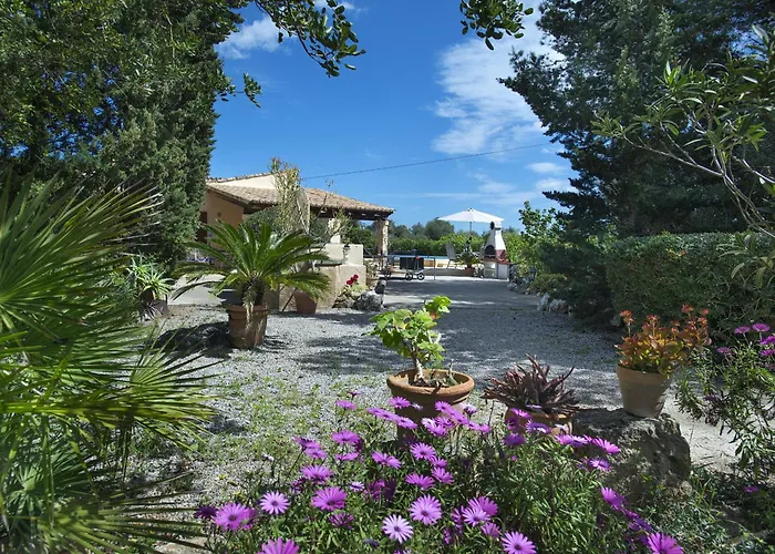 Owl Teo - Family&friends Villa