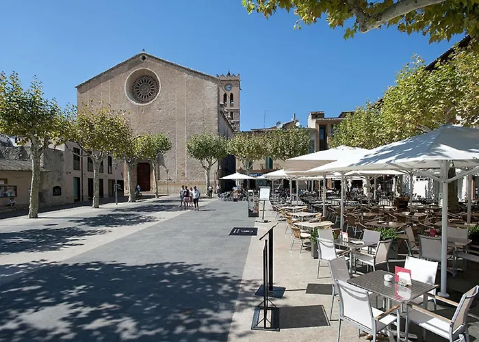 Owl Teo - Family And Friends * Pollença
