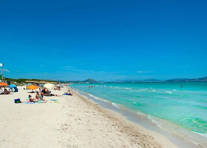 Owl Teo - Family And Friends * Pollença